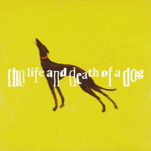 ดาวน์โหลดและฟังเพลง big, if true พร้อมเนื้อเพลงจาก maxime.