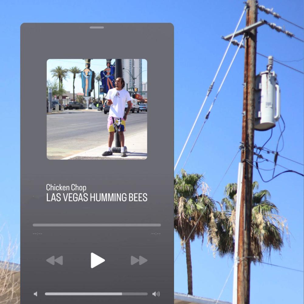 LasVegas Hummingbees (Explicit)