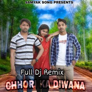 Listen to Chhori Ka Diwana (Full DJ Remix) song with lyrics from Arun Bhati