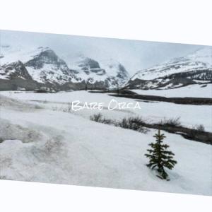 Listen to Lowest Several song with lyrics from Janne Mite