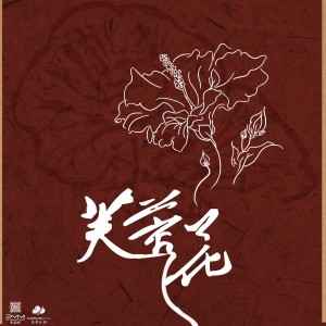 Album 芙蓉花 from 王梓钰