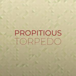 Various Artists的專輯Propitious Torpedo