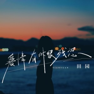 Listen to 爱情有时很残忍 (DJ粤A版) song with lyrics from 田园