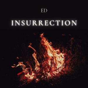ED的专辑Insurrection