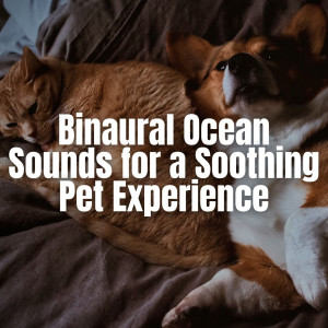 Binaural Ocean Sounds for a Soothing Pet Experience dari Ocean Waves Radiance