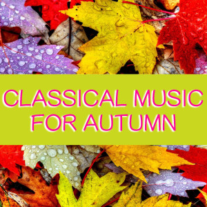 收听Blooming Orchestra的The Egyptian Night Ballet, Op 50: IV歌词歌曲