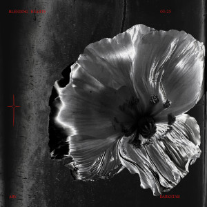 收聽Ary的Bleeding Hearts歌詞歌曲