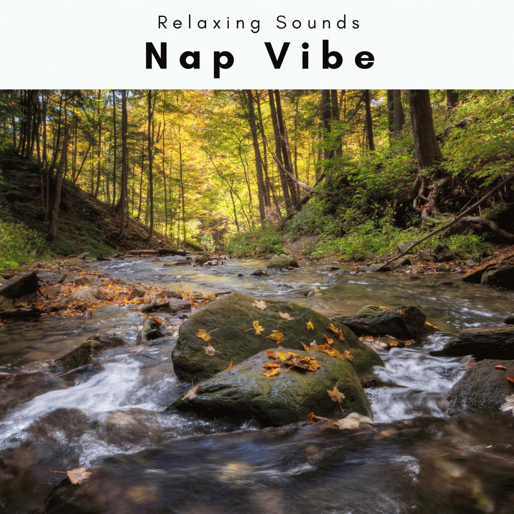 Nap Trip with Hyper Soothing Tunes