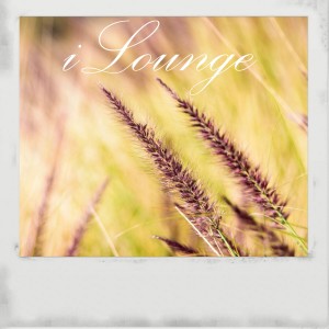 ดาวน์โหลดและฟังเพลง Forest Dream พร้อมเนื้อเพลงจาก DST Project