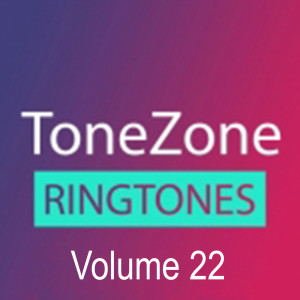 ToneZone Volume 22
