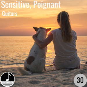 อัลบัม Sensitive Poignant 30 Guitars ศิลปิน James Lum