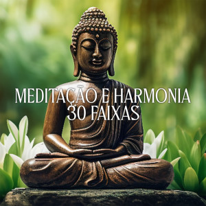 Academia de Meditação Buddha的专辑Meditação e Harmonia (30 Faixas Sonoras para o Bem-Estar e a Tranquilidade, A Cura Pelo Yoga)