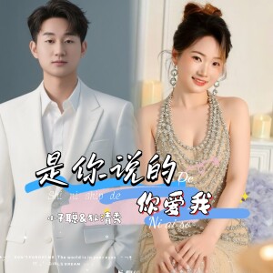 Album 是你说的你爱我 from 小子聪