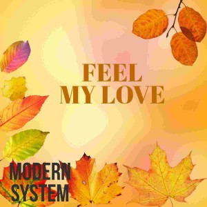 Album Feel my Love from Modern System