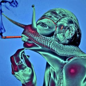 Album YOU DON’T KNOW ME!!!!! / HEMP (Explicit) from Two Worlds