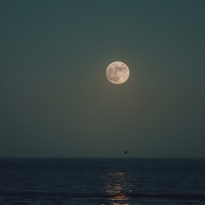 Album Moon from Flingu