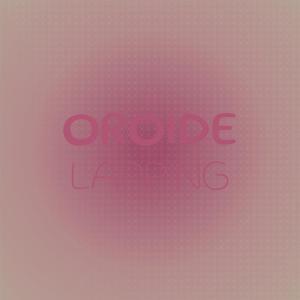 Various Artists的專輯Oroide Lapping