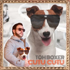 Cutu Cutu dari Tom Boxer
