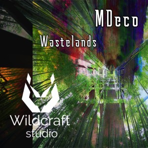 Album Wastelands from MDeco