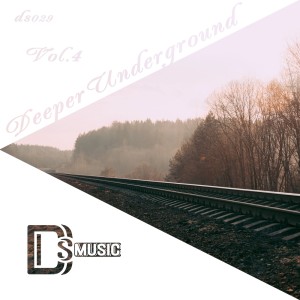 收听Dima Isay的Never Stop the Madnes歌词歌曲