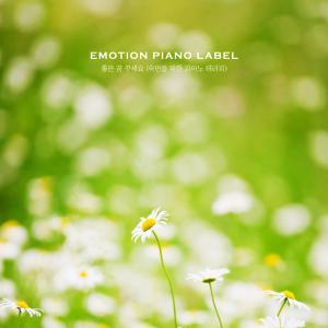 Album Have a good dream (piano therapy for a good night's sleep) from Various Artists