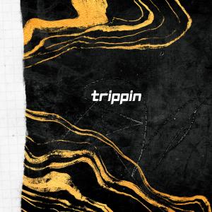Hendricks & Bavan的專輯Trippin (feat. Dante) [Explicit]
