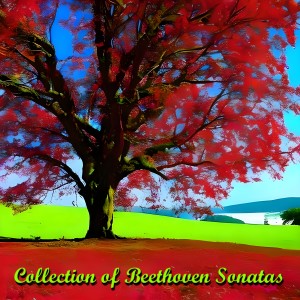 Album Collection of Beethoven Sonatas from Pablo Casals