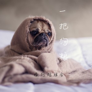 Album 一把狗粮 oleh 郑钦龙