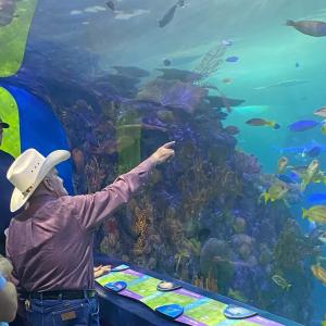 收聽Huss的Dirty Pot歌詞歌曲