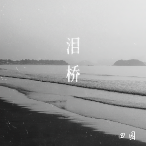 收听田园的泪桥歌词歌曲