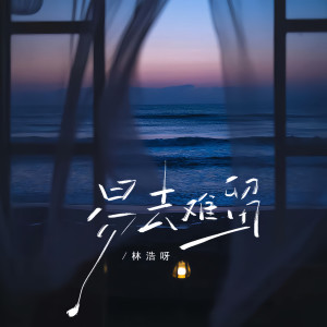 Listen to 易去难留 song with lyrics from 林浩呀