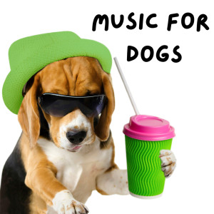 Relaxing Puppy Music的專輯Music For Dogs