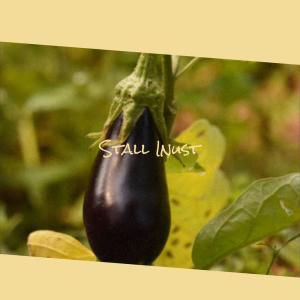收聽Abrar Allar的Stall Inust歌詞歌曲