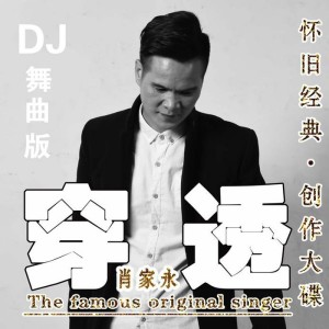 Listen to 穿透 (DJ版) song with lyrics from 肖家永