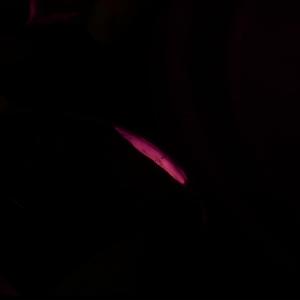 收聽DØVEN的Falling Out歌詞歌曲
