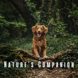 Nature Label的專輯Nature's Companion: Serene Ambient Sounds for Dogs