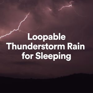Thunderstorms的专辑Loopable Thunderstorm Rain for Sleeping