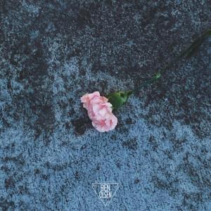 ดาวน์โหลดและฟังเพลง Growth พร้อมเนื้อเพลงจาก Ben Olsen