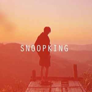 ดาวน์โหลดและฟังเพลง ถ้าฝันของเราสลาย พร้อมเนื้อเพลงจาก Snoopking