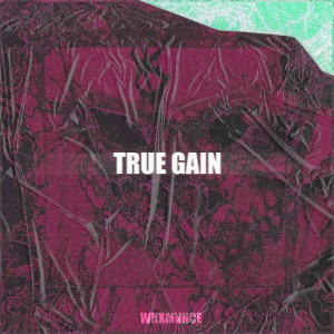 Listen to TRUE GAIN song with lyrics from WHXMVNCE