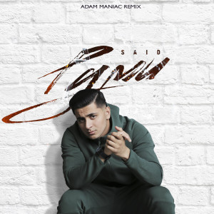 Listen to Руми (Adam Maniac Remix) song with lyrics from SAID