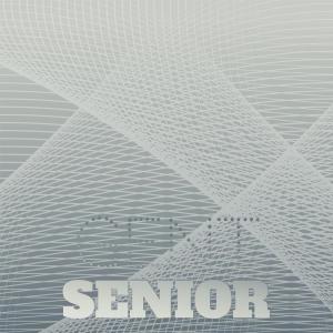 收听Alfa Grin的Audi Hore歌词歌曲