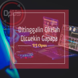 Listen to Ditinggalin Okelah Dicuekin Gapapa song with lyrics from DJ Opus
