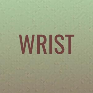 Album Wrist from Various