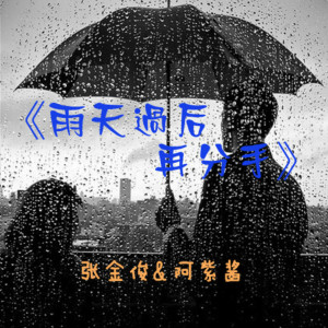 收聽張金俊的僞裝謊言歌詞歌曲