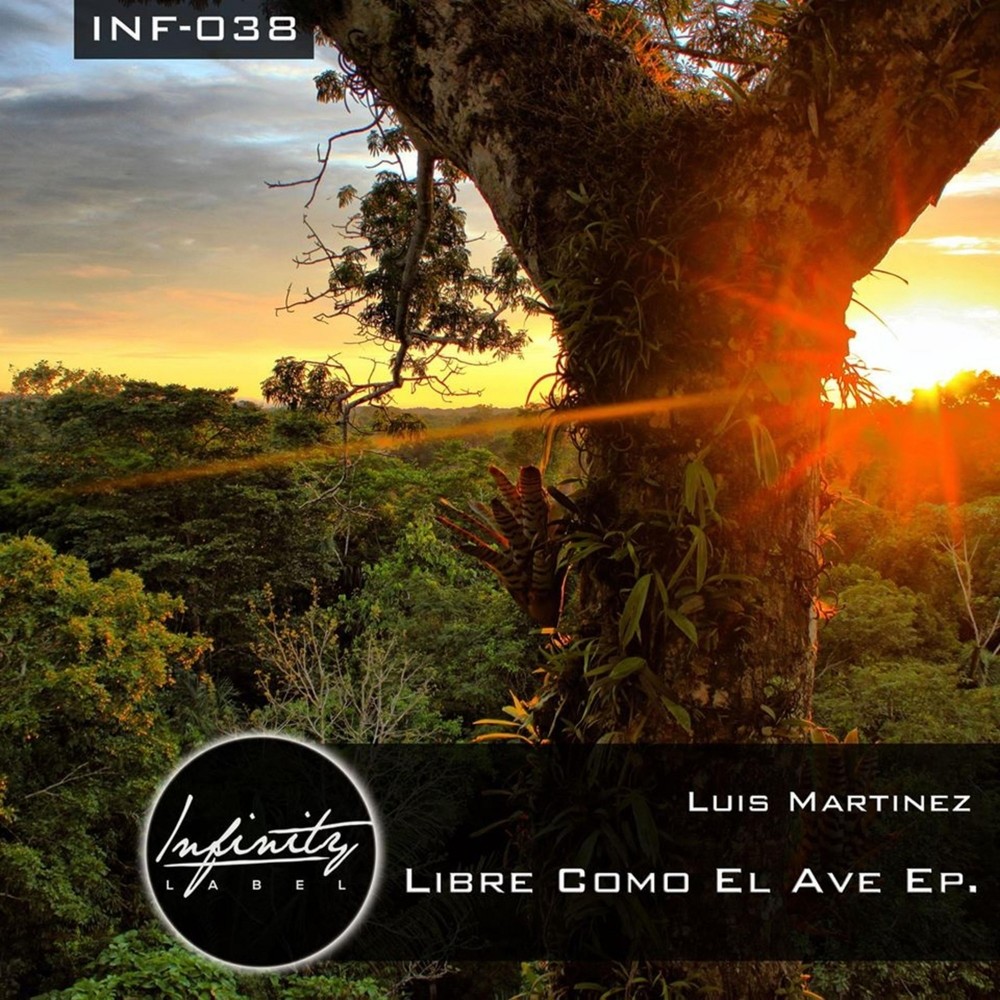 Libre Como El Ave (Original Mix)