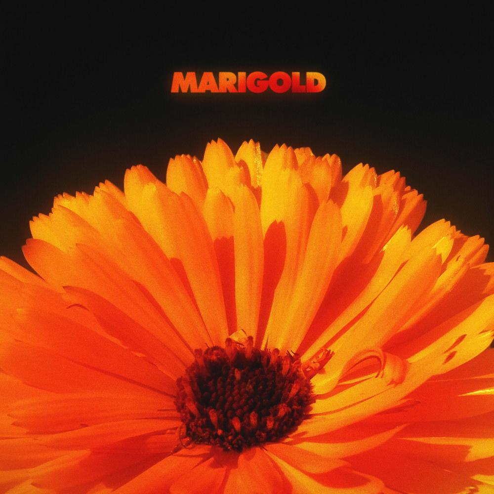 Marigold (Explicit)