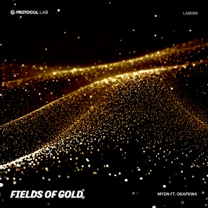 收聽Mydn的Fields Of Gold歌詞歌曲