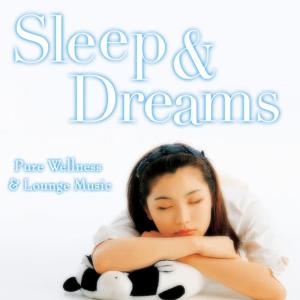 收聽Pure Wellness的Colors Of The Night歌詞歌曲