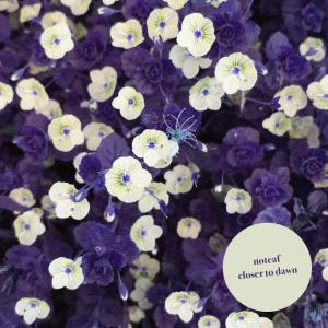 收聽noteaf的Closer To Dawn歌詞歌曲